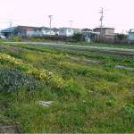 【農業ブログ第13回】「井上農園」さんから野菜を購入したユーザーさんから  感想をいただきました。
