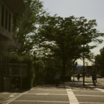 「頭はいい人」と「頭が良い人」は全くの別物、という話