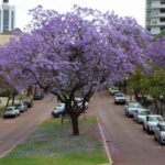 海外旅行先のホテルで、現地の幽霊に襲われた話